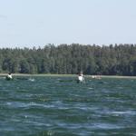 Ruderboote vor Augustow 2015