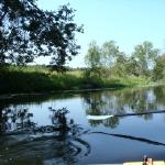 Ruderboot auf der Mueggelspree 2015