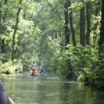 wehrkanal spreewald 2015