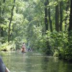 enger Graben Spreewald 2015
