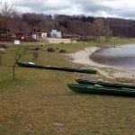 Ruderboote am Donau-Altarm in Wallsee 2015