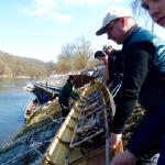 ruderboote auf der treppe donau 2015