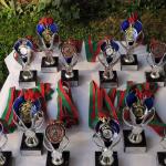 Pokale Drachenbootrudercup 2015