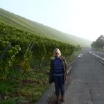 Laura vor den Weinbergen Main 2015