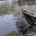 umtragen in die Regnitz Main 2015