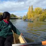 Ruderboote in Wuerzburg MDK 2015