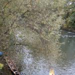 Umtrage Main Donau Kanal Regnitz MDK 2015