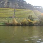 Weinberge am Main MDK 2015