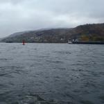 viel Verkehr auf dem Rhein 2015