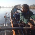 Ruderinnen auf der Elbe 2015