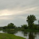 Auenlandschaft Warthe 2015