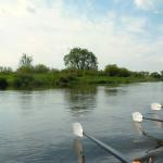 Warthe bei Kolo 2015