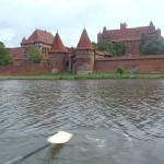 Marienburg Ruderer 2015