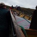 Umtrage 2 Donau 2016