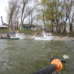 kroatische grenzkontrolle Donau 2016