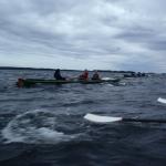 auf dem weg nach punkaharju finnland 2016