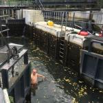 Material bergen Spreewald 2016