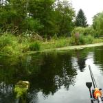 Tegler See Ruderboot 2016