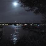 Wannsee in Flammen Ruderboot am Steg 2016