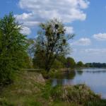 Warthe Idyll mit Ruderboot 2016