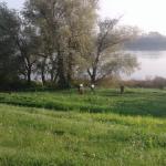 Anlegestelle Rovigio Blog Po 2017