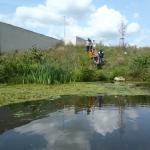 Einsetzstelle Maasschleuse 2017