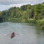 Ruderboote Maas 2017