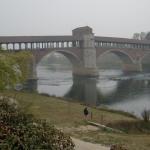 Historische Bruecke in Pavia Ticino 2017