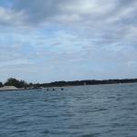 Lange Wellen an der Adria 2017