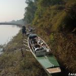 Ruderboot im Uferdickicht des Po 2017