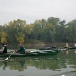 Ruderboote auf dem Po 2017