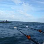 au der Lagune von Venedig 2017