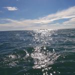 Ruderer Mittelmeer Midi 2018