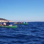 Ruderboote vor Klippe in der Adria 2018