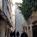 Ruderer in Trogir 2019