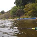 Badenixe am Strand Luebeck 2018