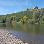 Alter Main bei Nordheim 2018