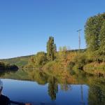Ruderboot auf dem Altmain 2018