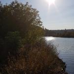 Wertheim blick auf die Burg 2018