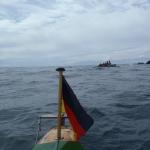 Windschutz zwischen den Schaeren 2018