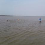 Baden in der Oste 2018