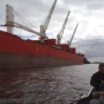 Frachter im Hafen Bremen 2018