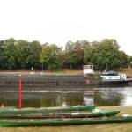 Ruderboote in Hoya Weser 2018