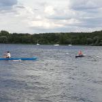 Einer rudern bei Collegia 2019