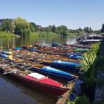 Ruderboote beim Biller RC 2019