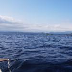 Ruderboote am Upper Lough Erne 2019