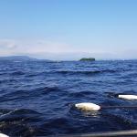 Upper Lough Erne 2019