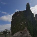 Ruine Drommineer Irland 2019