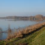 Landschaft am Po 2019