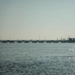 Pontonbruecke am Po 2019